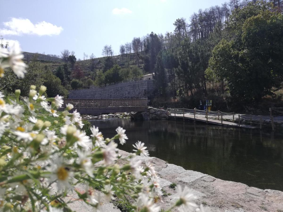 Sambuc'Asa - Serra Da Estrela Sabugueiro  Zewnętrze zdjęcie