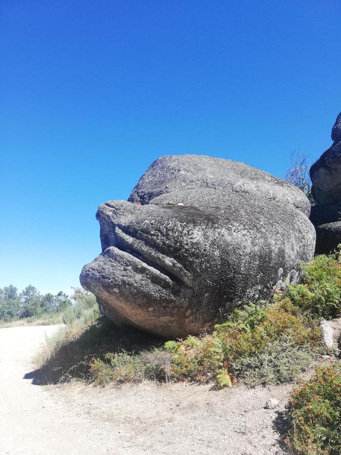 Sambuc'Asa - Serra Da Estrela Sabugueiro  Zewnętrze zdjęcie