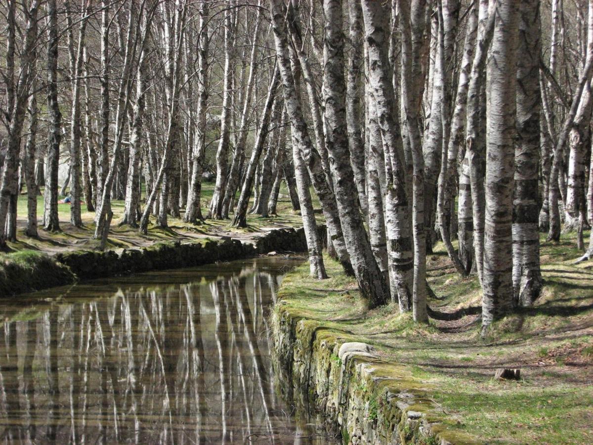 Sambuc'Asa - Serra Da Estrela Sabugueiro  Zewnętrze zdjęcie